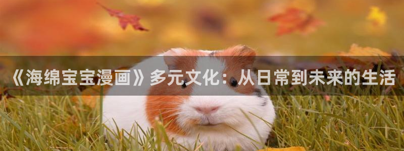 羞羞歪歪漫画sss免费
